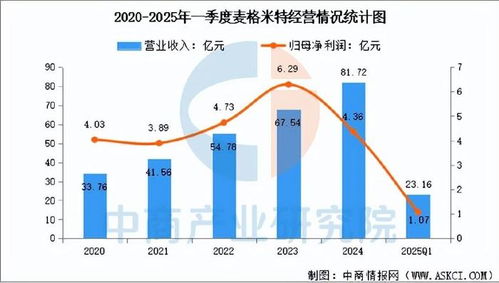 2025年中國AI服務器電源行業市場前景預測研究報告（簡版數據處理服務）