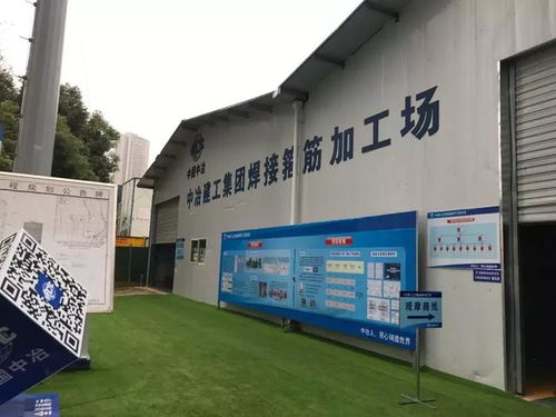 走進(jìn)江北嘴壹號(hào)院 以技術(shù)創(chuàng)新為引擎，鑄就時(shí)代精品工程典范